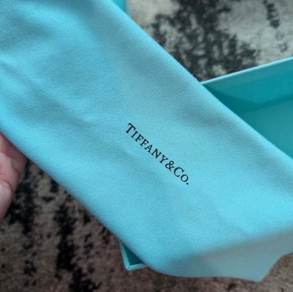 NWOT Tiffany & Co. Hard shell Glasses Case, Gift Box, Cleaning Cloth, BLANK COA - Picture 15 of 16